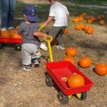 Giochi di Zucca alla Mostra D’Oltremare tra la didattica e il divertimento