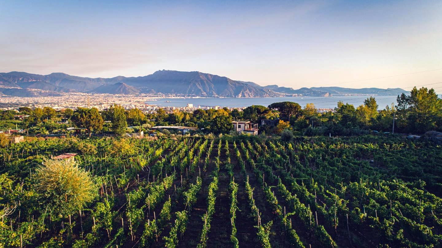 A Casa Setaro parte il corso di avvicinamento al vino Slow Food Vesuvio