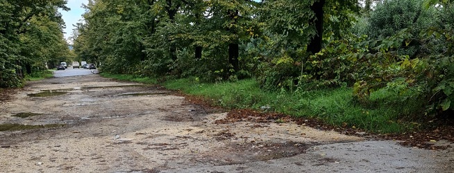 Rifiuti, in corso la rimozione straordinaria: ripuliti i galoppatoi di Viale Carlo III