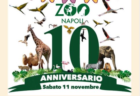 Zoo di Napoli, un compleanno speciale tra feste a tema e ingresso gratuito per i bambini