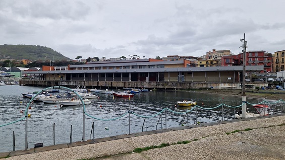 Azzurro Pozzuoli, nella città flegrea arriva il primo festival del pesce