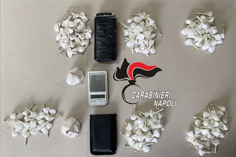 Mugnano, nasconde dosi coca ma Luna fiuta e lo fa arrestare