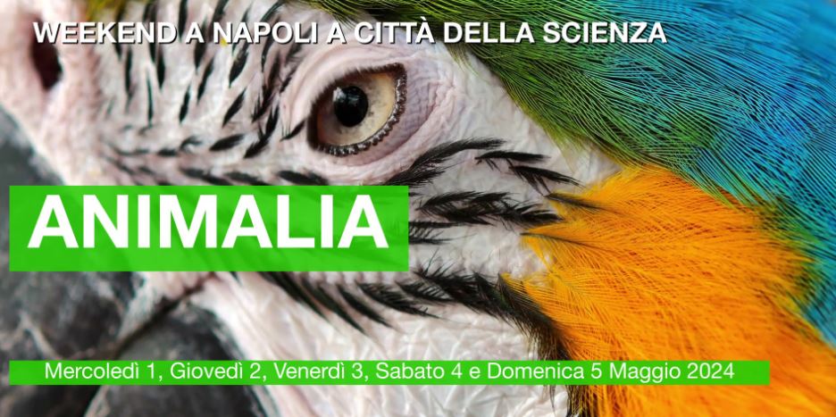 Città della Scienza: dal 1 al 5 maggio science show, visite guidate al Museo e spettacoli al Planetario!