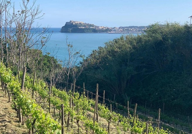 “Malazè Off” torna con il progetto Campi Flegrei Active e dieci nuovi eventi diffusi