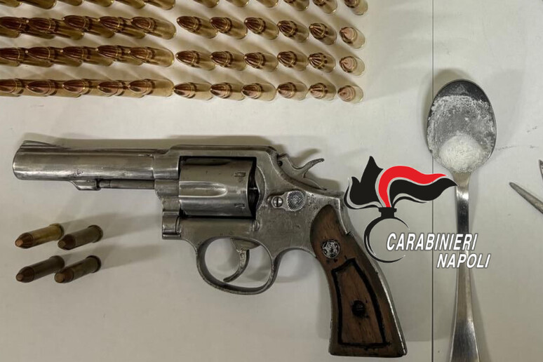 Pozzuoli, pitbull a protezione della casa con droga e armi