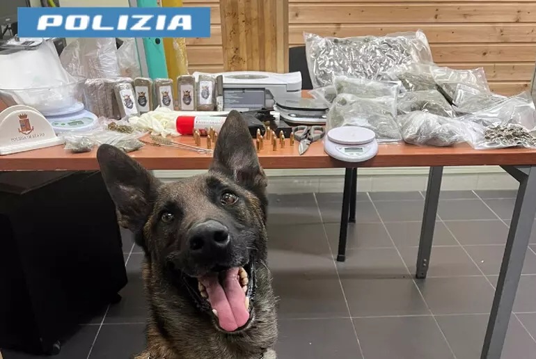 Scampia, sgominato laboratorio di droga: un arresto
