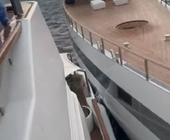 Napoli, collisione tra superyacht: uno era di Steve Jobs