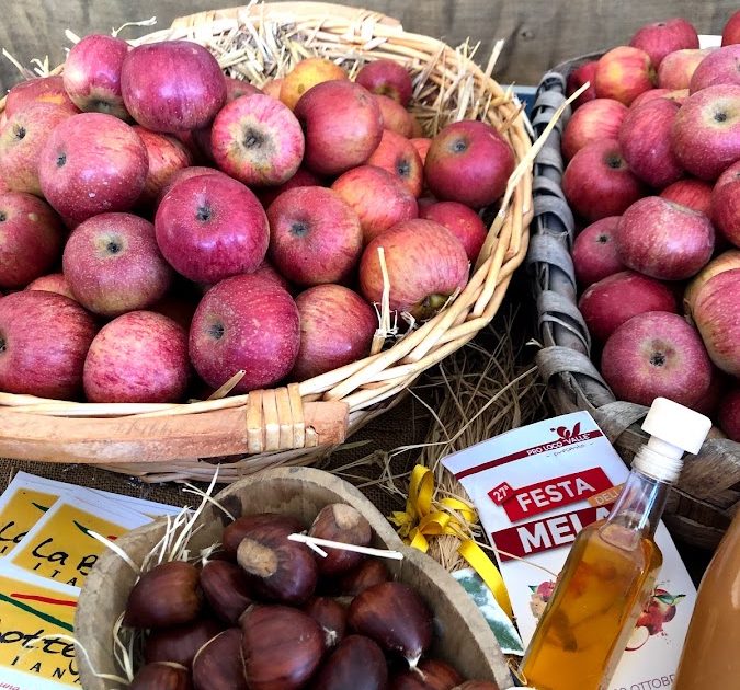 sagre