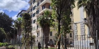 Napoli, continua la ripiantumazione: oltre 4.500 nuovi alberi e arbusti entro il 2025