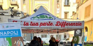 Asia napoli, nuovo calendario per raccolta "porta a porta". Si inizia dai Quartieri Spagnoli e San Ferdinando