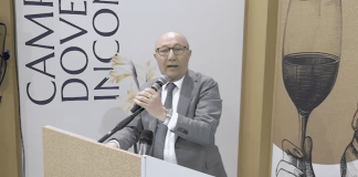 Vinitaly, Ciro Fiola: "Pronti a interventi di sostegno per cantine area flegrea"