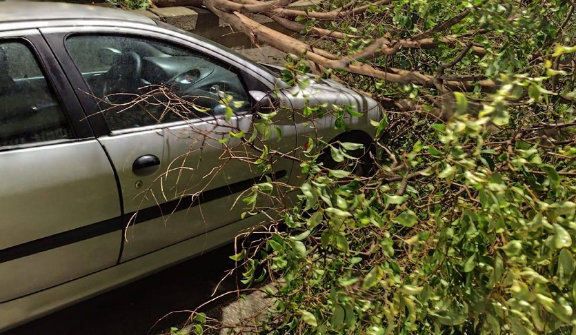 Napoli travolta da 2anews.it Napoli travolta dal vento crollo di alberi residenti barricati in casa – VIDEO