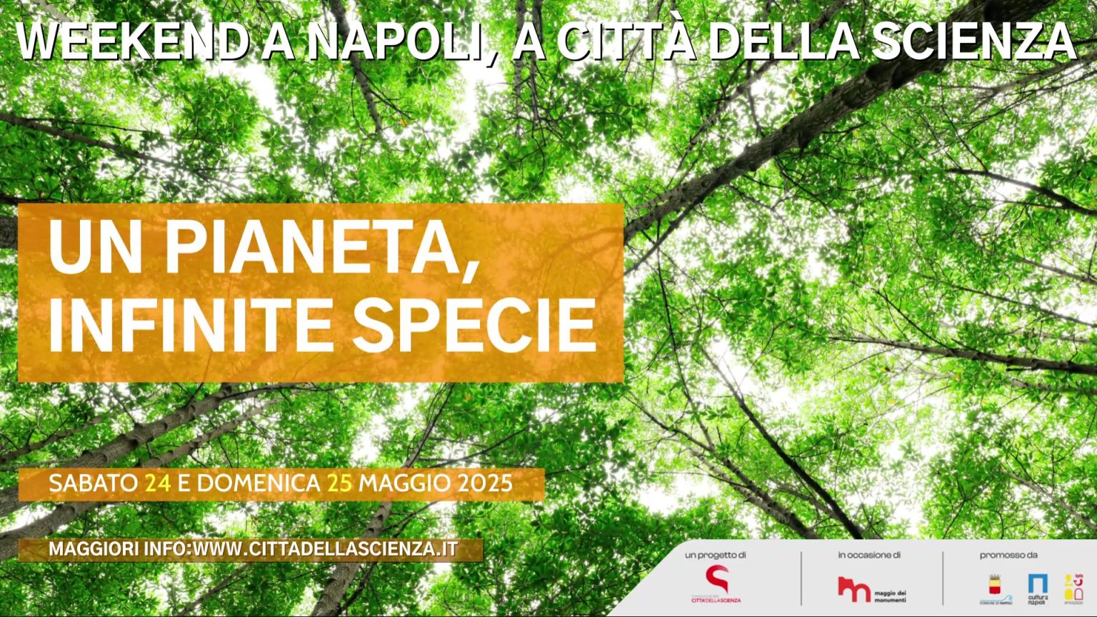 EVENTI CITTà DELLA SCIENZA