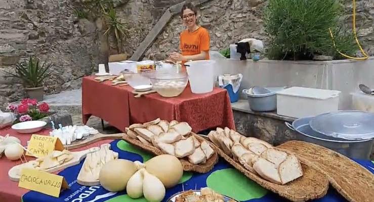 sagre
