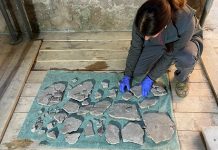 Ercolano, una domus ritrovata: riapre al pubblico la Casa dell’Erma di bronzo