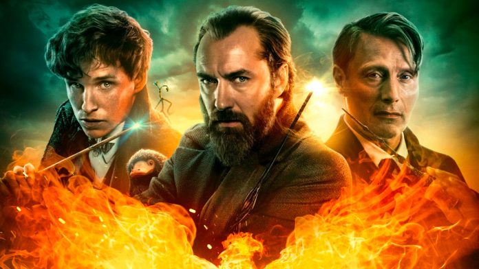 Stasera in tv sabato 17 maggio: Animali fantastici - I segreti di Silente