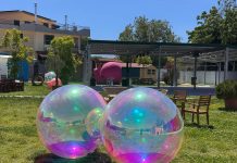 Insieme al Parco delle Chiocciole: una domenica per crescere, donare e divertirsi