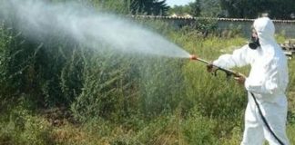 Disinfestazione, parchi urbani temporaneamente chiusi