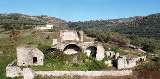 Porchetta a Km 0: il simbolo della cultura gastronomica locale alla Casa della Vigna