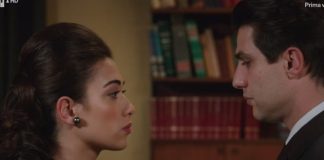Il Paradiso delle Signore, anticipazioni al 28 novembre: Marcello chiede a Rosa di sposarlo