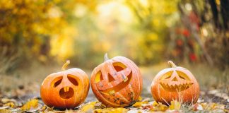 Cosa offrono i casinò online ad Halloween, rispetto al resto dell'anno?
