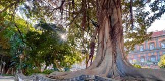 Palazzo Reale, rinasce il Giardino Romantico