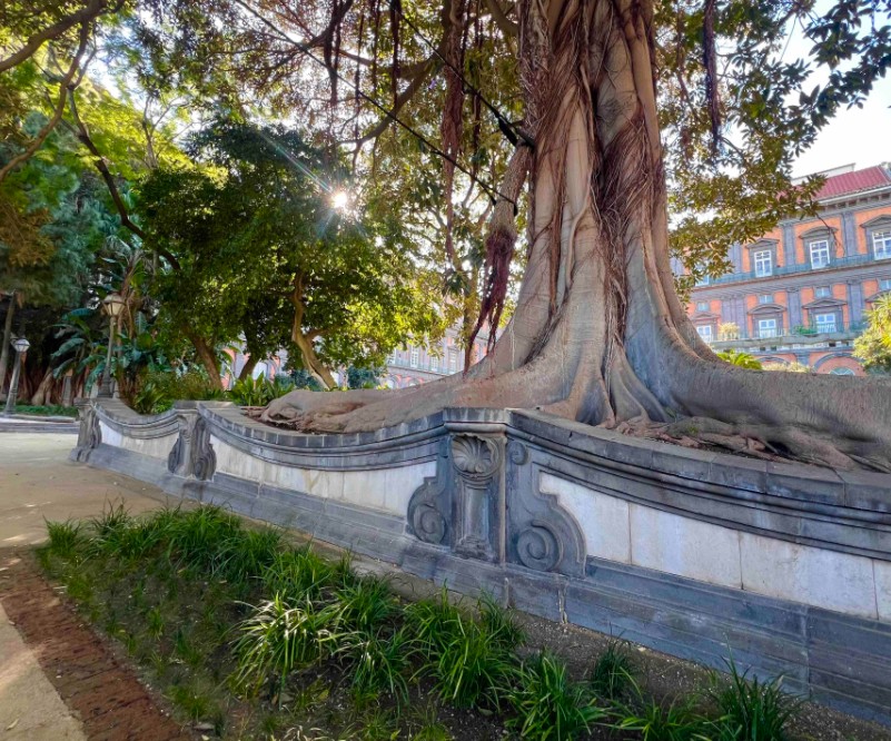 Rinasce il Giardino Romantico di Palazzo Reale