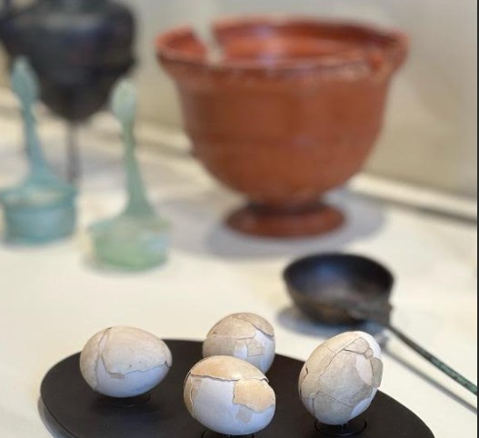 parco archeologico di ercolano visita alla mostra sul cibo a villa campolieto da 2anews.it parco archeologico di ercolano visita alla mostra sul cibo a villa campolieto