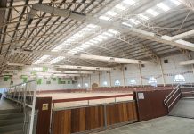 Energia e impegno sociale: Graded supporta l'ippoterapia ad Abu Dhabi