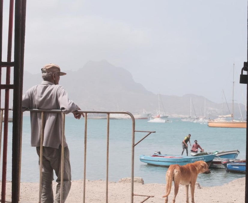 astradoc tra napoli e capo verde con waithood le nuove anteprime da 2anews.it astradoc tra napoli e capo verde con waithood le nuove anteprime