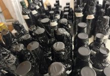 II edizione del Premio Olio delle Sirene, al via gli assaggi delle oltre duecento etichette in gara