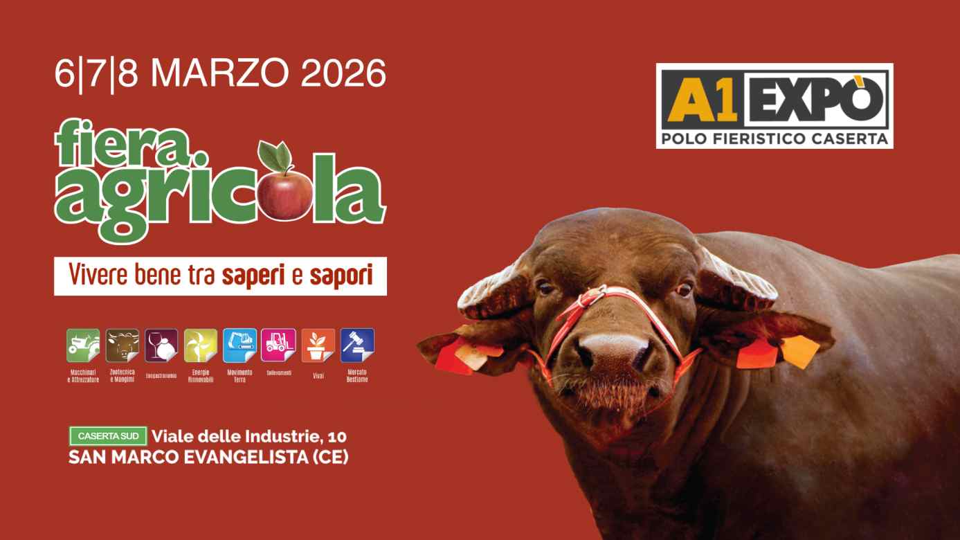 Sagre e Feste in Campania da giovedì 5 a domenica 8 marzo 2026 sagre