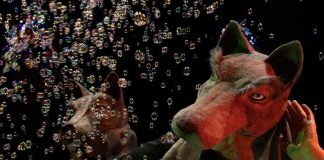 Teatro dei Piccoli, in scena lo spettacolo Rosaluna e i lupi