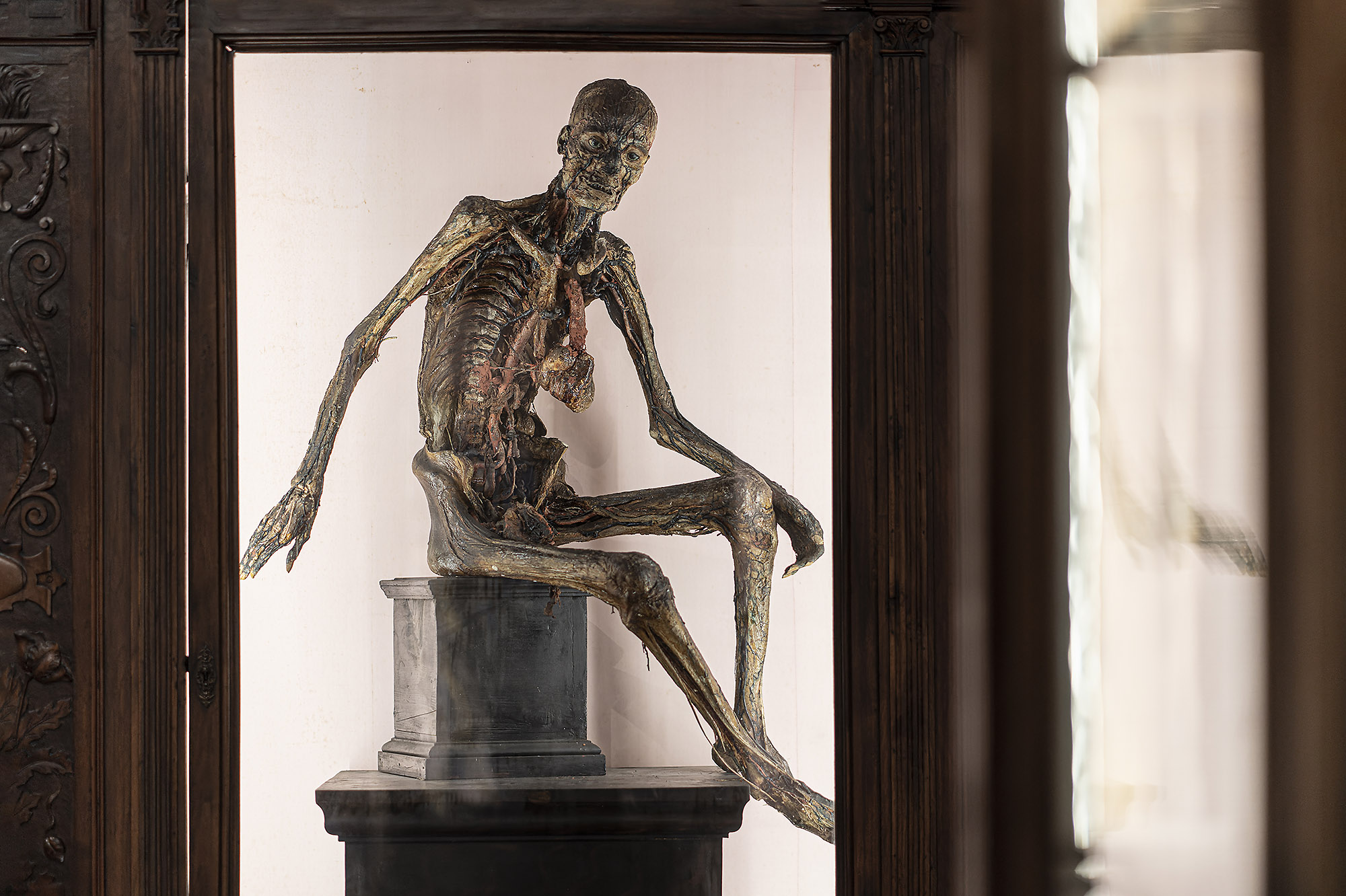 NarteA fa tappa al Musa – Museo Universitario delle Scienze e delle Arti