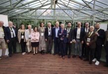 Il Premio Olio delle Sirene a Sorrento: una alleanza strategica per il rilancio degli oli extravergini di oliva in Italia Il Premio Olio delle Sirene a Sorrento: una alleanza strategica per il rilancio degli oli extravergini di oliva in Italia