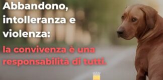 Comune di Napoli: parte la campagna di sensibilizzazione contro l'abbandono degli animali e i maltrattamenti